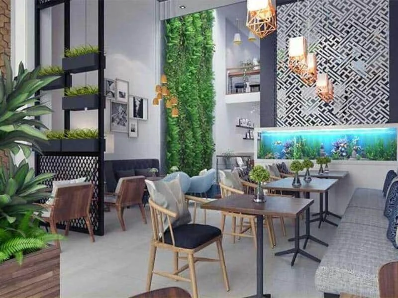 Ảnh minh họa trong bài viết
