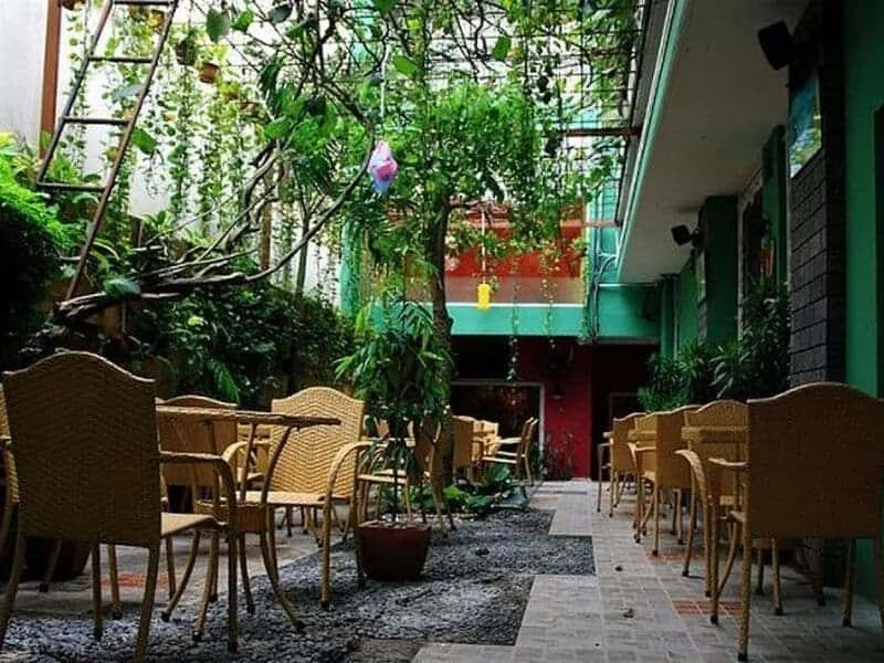 Ảnh minh họa trong bài viết