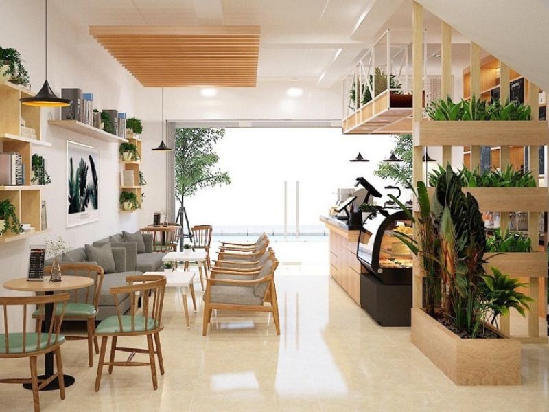 Trang trí không gian quán cafe bằng các loại cây cối 