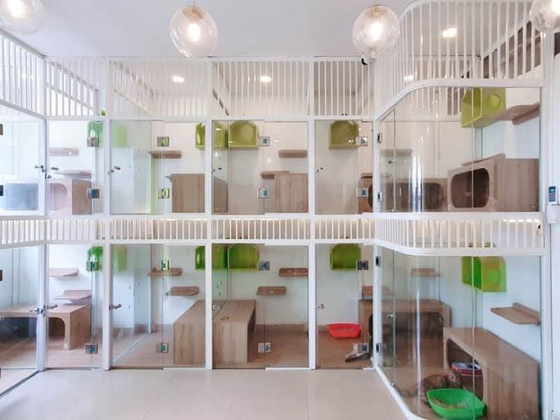 Shop-thu-cung-lay-sang-tot Thiết Kế Pet Shop