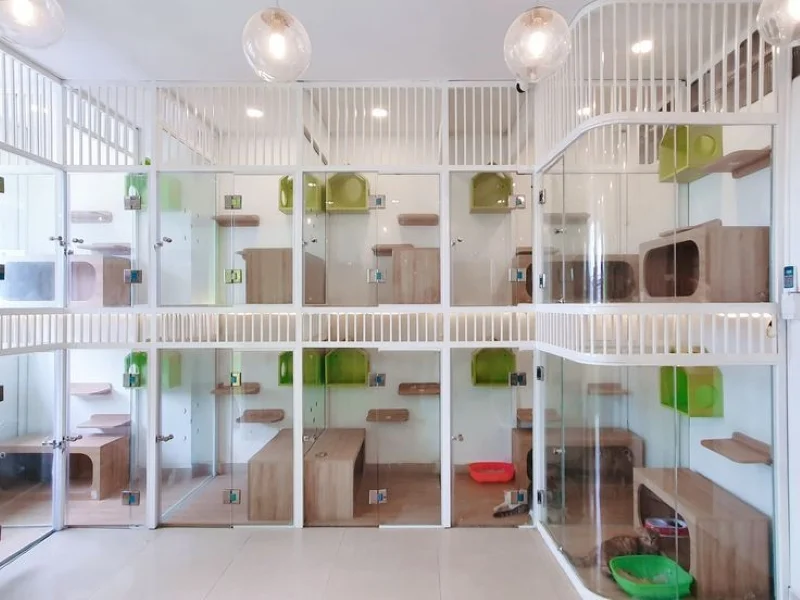 thiết kế pet shop
