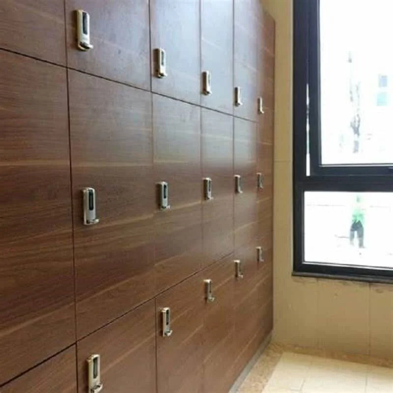 Ảnh minh họa trong bài viết
