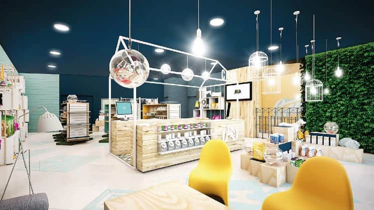 he-thong-anh-sang-trong-pet-shop Thiết Kế Pet Shop