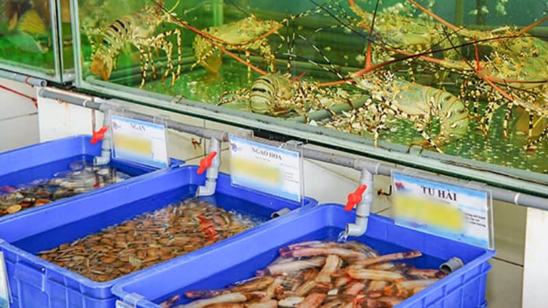 Thiết Kế Cửa Hàng Hải Sản Tươi Sống 5 thiết kế cửa hàng hải sản tươi sống