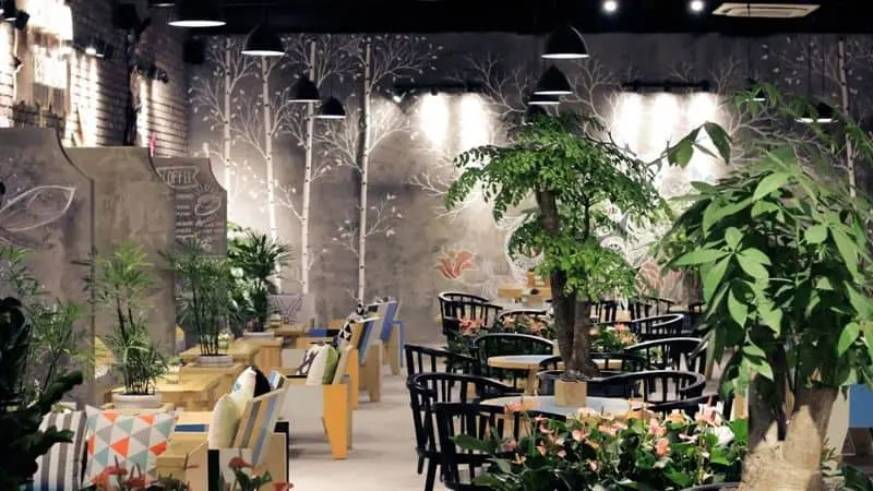 thiết kế quán cafe cây xanh