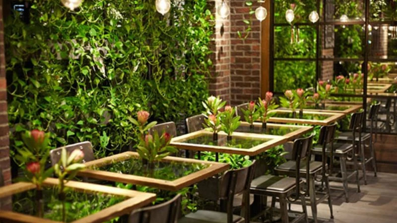 thiet-ke-quan-cafe-cay-xanh-kieu-viet Thiết Kế Quán Cafe Cây Xanh