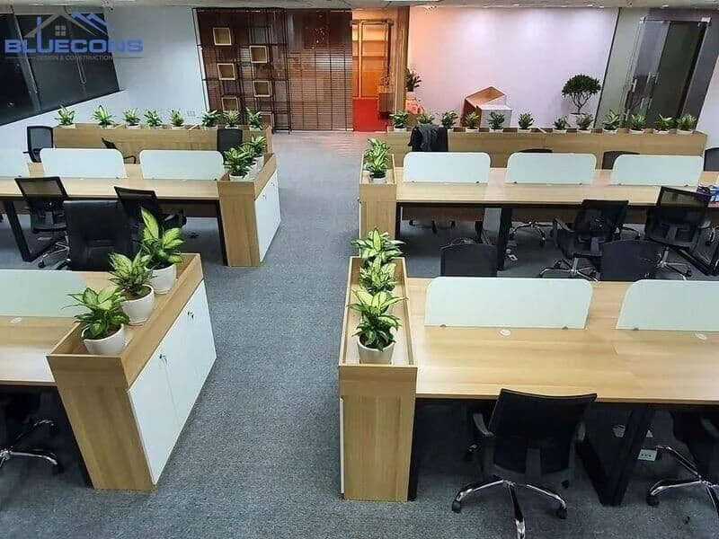 Ảnh minh họa trong bài viết