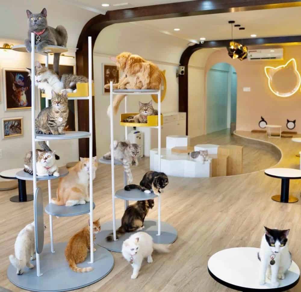 cai-tao-quan-cafe-gia-re-18 Thi công cải tạo quán cafe giá rẻ