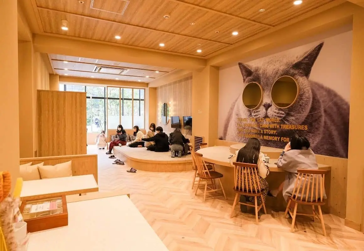 Quán Cafe Thú Cưng