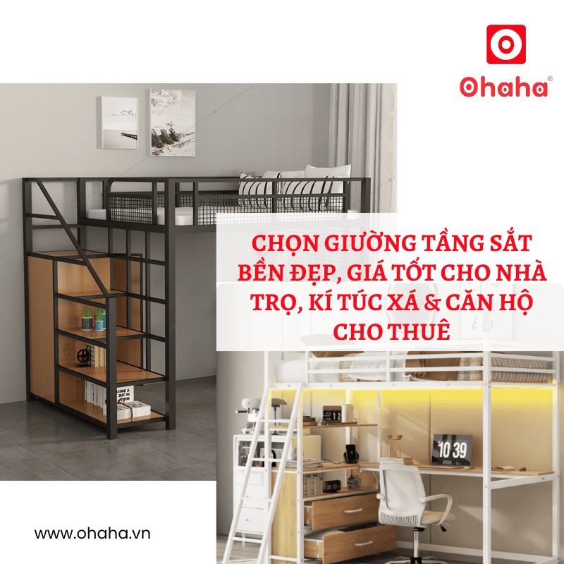 Hình ảnh 3
