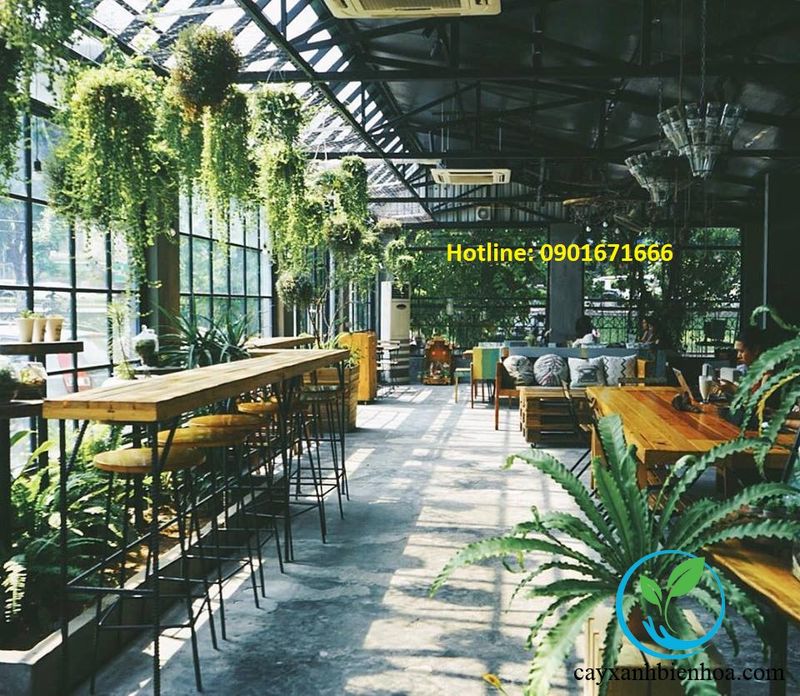Thi Công Quán Cafe Tại Biên Hòa 11 Khảo sát mặt bằng quán cafe