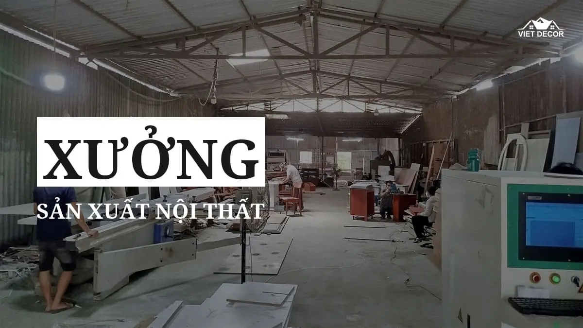 Ảnh minh họa trong bài viết